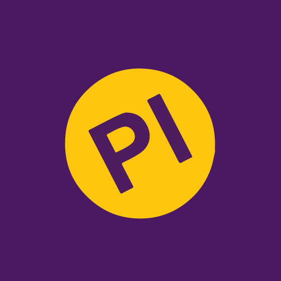 Partido Independiente